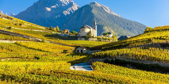 Vignes Valais